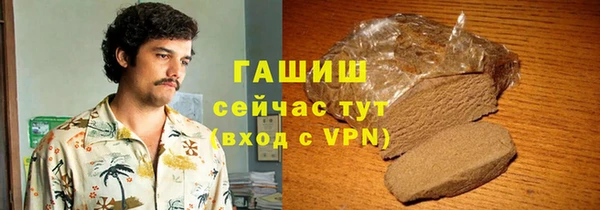 индика Ельня