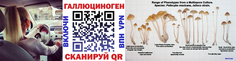 Галлюциногенные грибы GOLDEN TEACHER  наркота  Питкяранта 