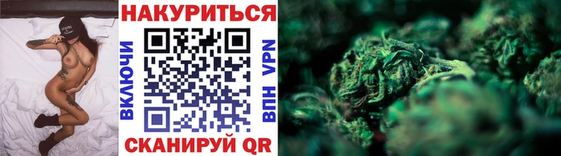 наркошоп  мега ССЫЛКА  Конопля ГИДРОПОН  Питкяранта 